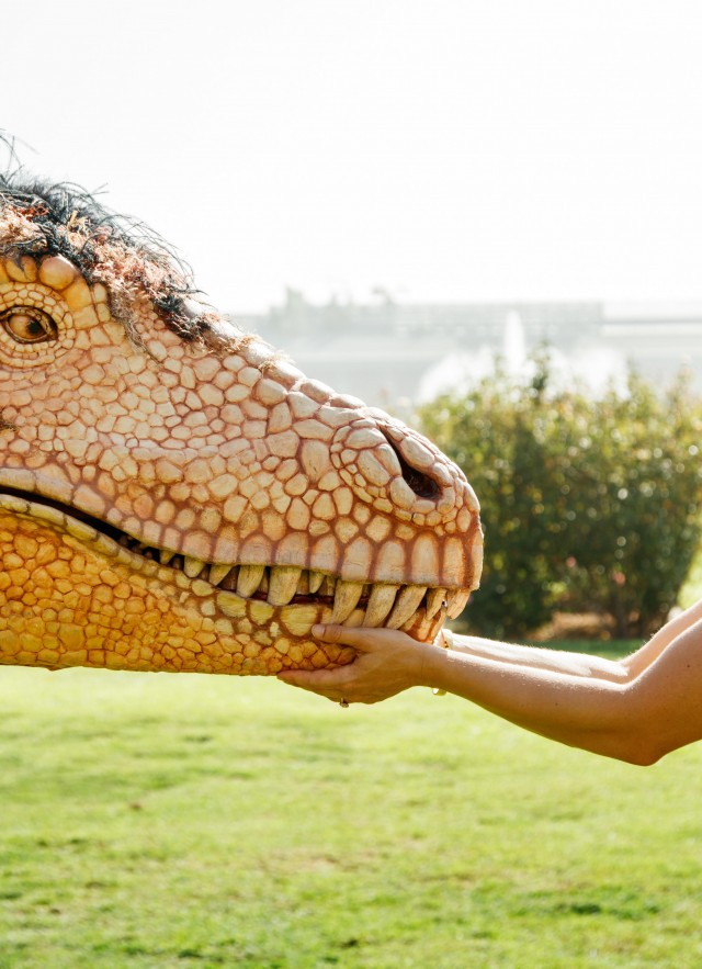Hunter the T. rex puppet outside in Exposition Park's Rose Garden