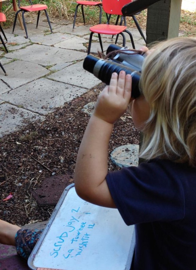 Ryder Chapman (age 3 in this photo) helping his family participate in the Great Backyard Bird Count.