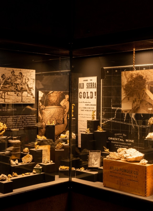 Gold Rush Case in Gem Hall