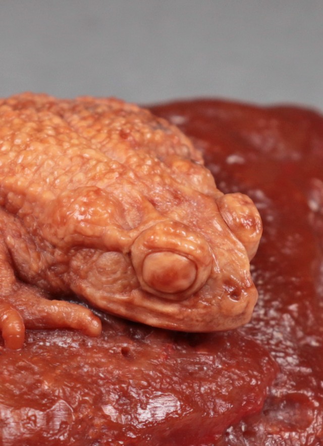 Stone Sculpture of North American Toad 