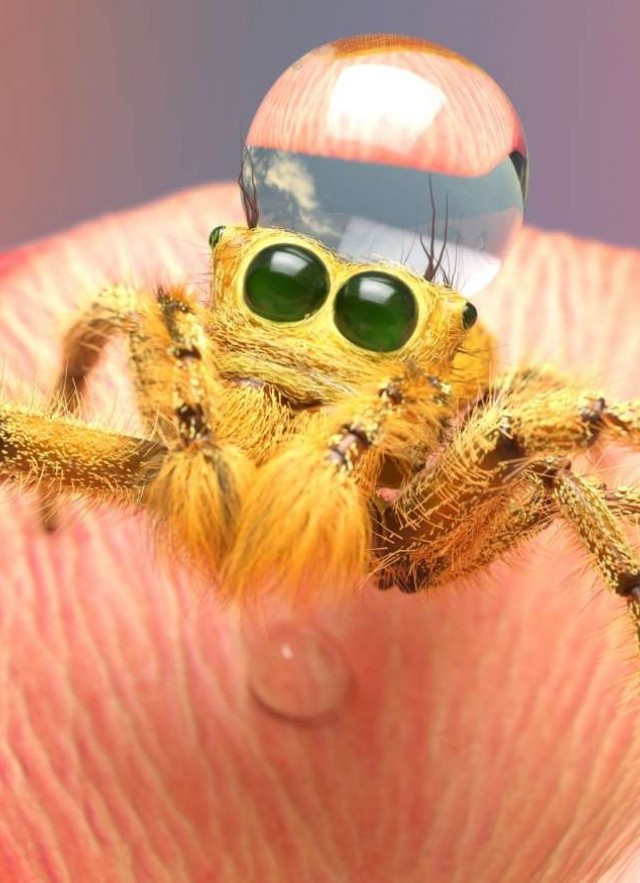 3D, Fictitious, spider, arachnid