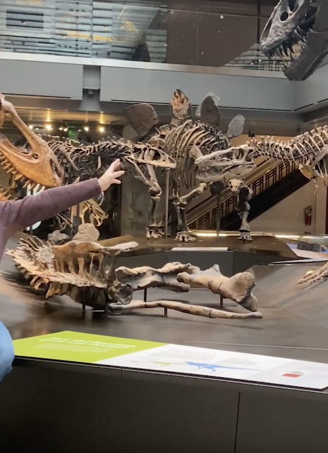 Luis and t rex trio