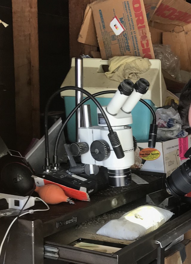 Preparator James Preston working on fossils from home.