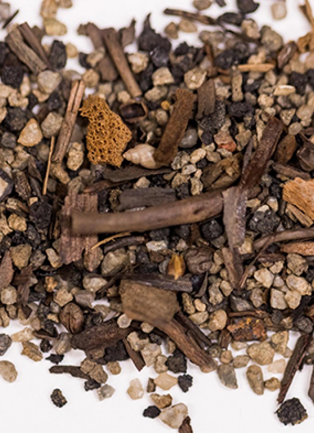 an assortment of microfossils and debris from la brea tar pits