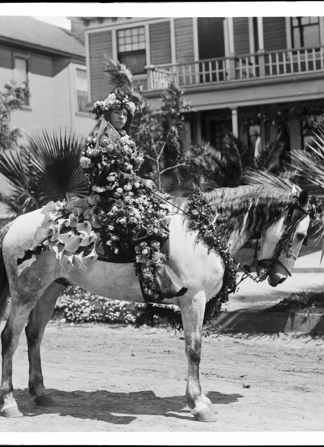 The Masquerade Laws, woman on horse