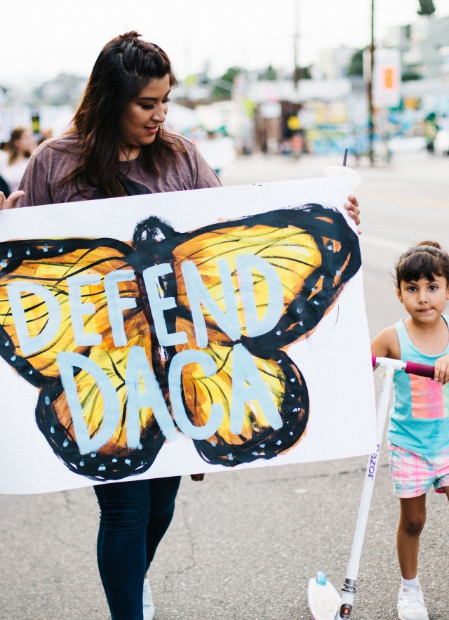 The Monarch Butterfly