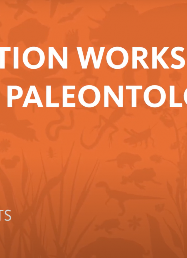White text on orange background that reads: Education Workshop: Urban Paleontology