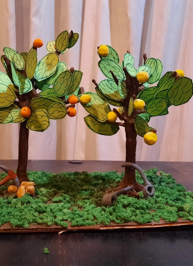 Nia's object, a lemon and orange tree