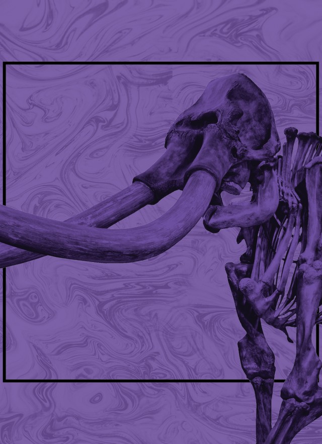 La Brea Tar Pits Mammoth image