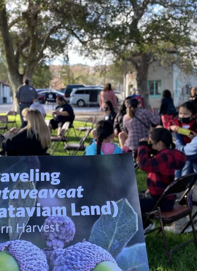 Acorn Harvest Traveling Tataveatveat Hart Museum