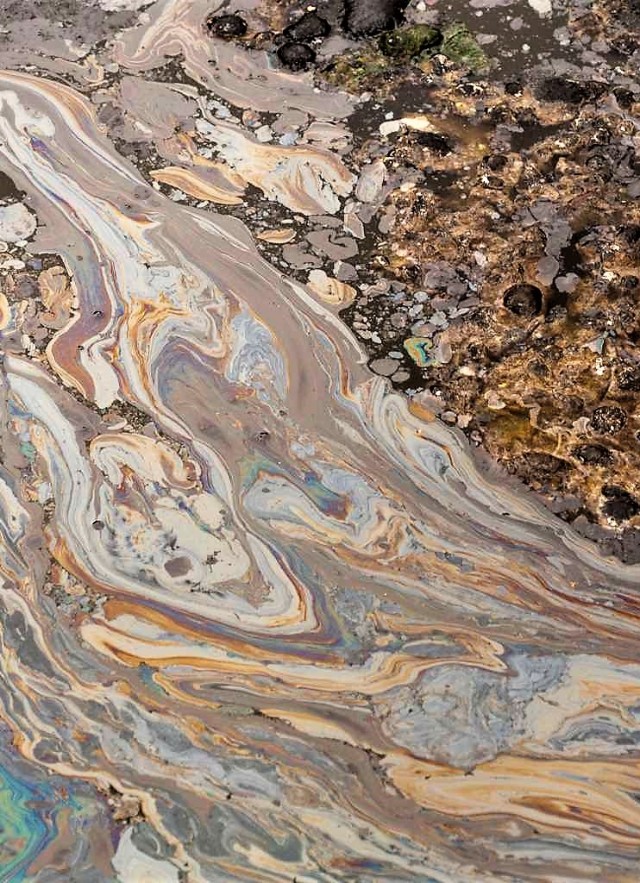 Oil runoff from Lake Pit at Rancho La Brea
