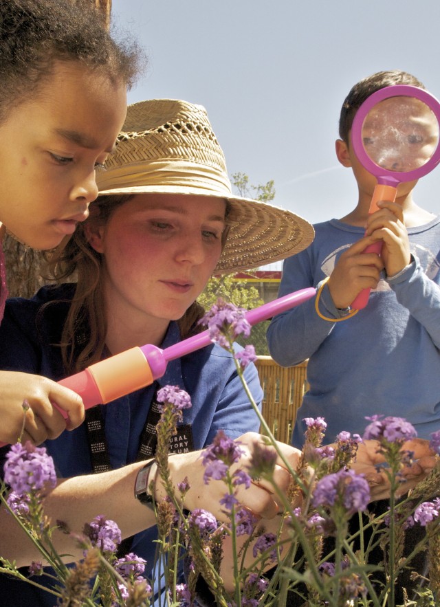 Children looking at flowers with magnifiers