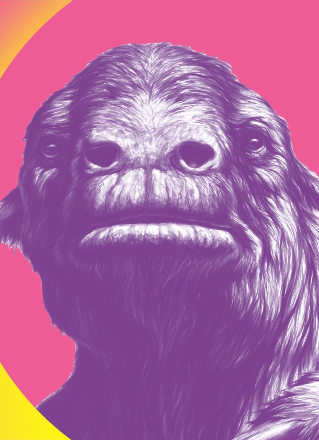 Sloth head with a pink, purple, orange, and yellow background