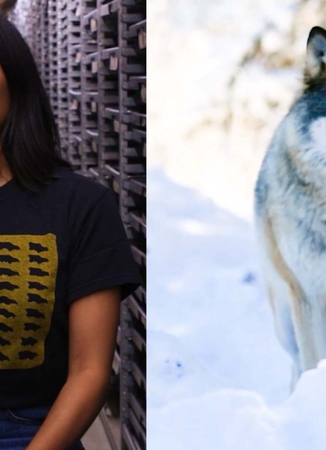 Head and shoulders portrait of Mairin Balisi with collection cabinets behind her, next to a white and gray wolf