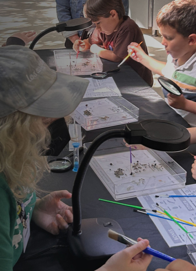 Museum Educator facing children, sorting micro fossils, across a table