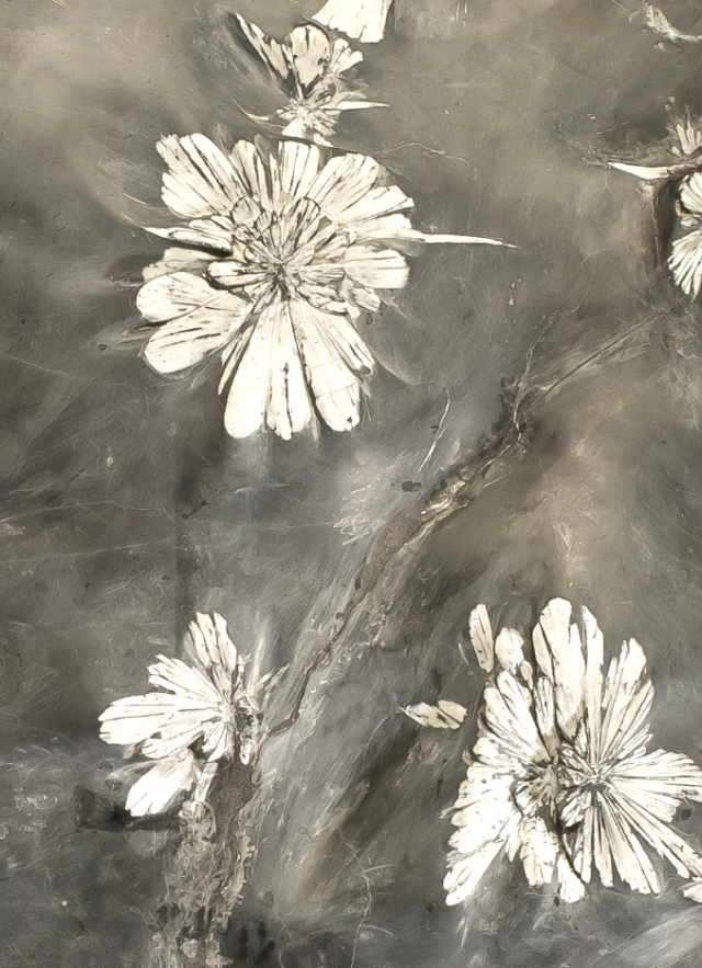Chrysanthemum stone detail in Unearthed: Raw Beauty