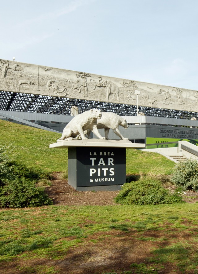 Tar Pits Homepage