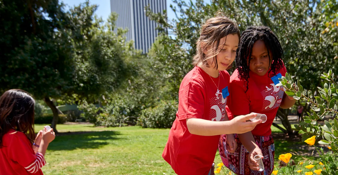 La Brea Tar Pits photo from the official site