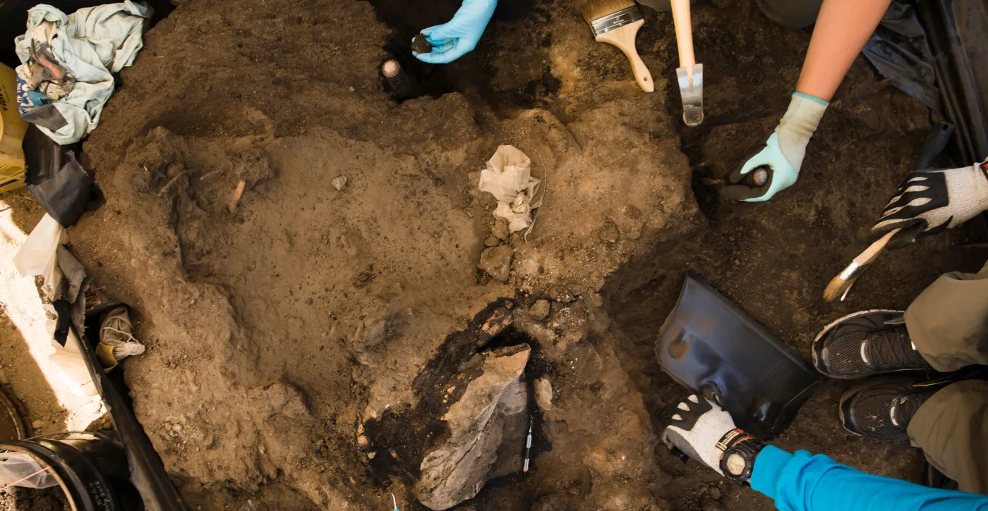 La Brea Tar Pits photo from the official site