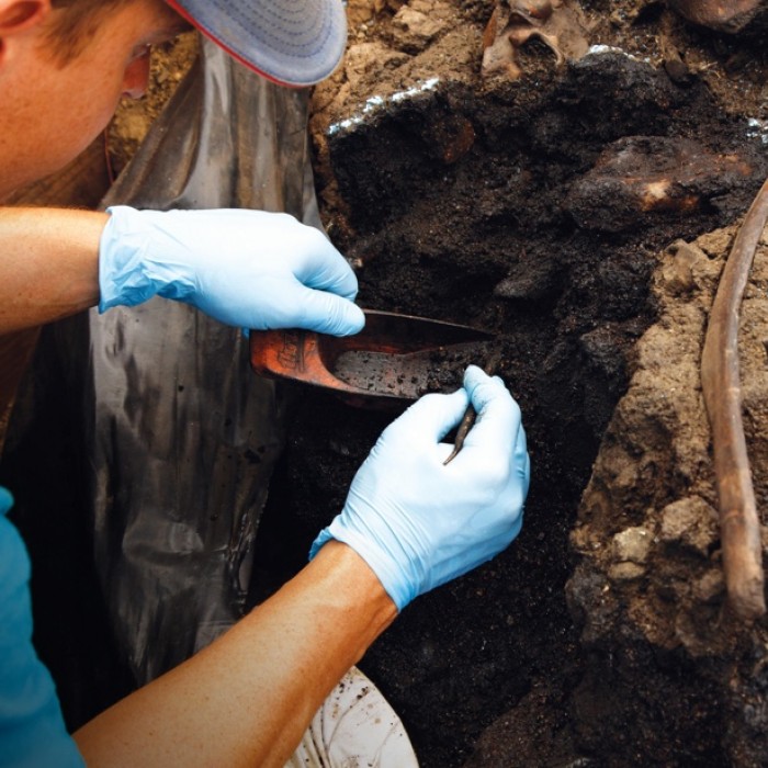Photo of paleontologist excavating fossils 