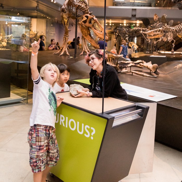 gallery interpreter at curiosity cart talking to a child in Dinosaur Hall