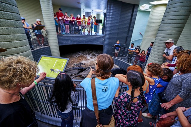 observation pit at the tar pits