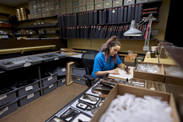 volunteer working in fossil lab at tar pits
