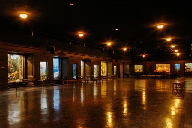 north american mammal hall level 2 empty