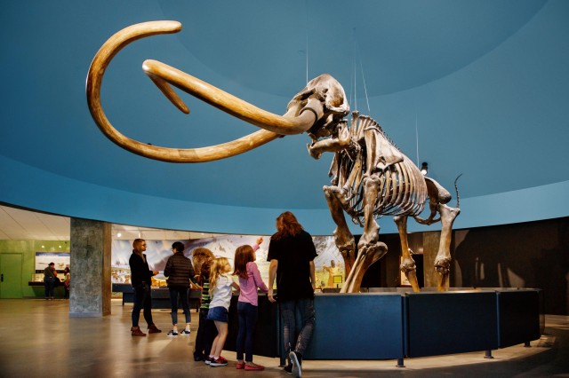 guests kids family zed mammoth skeleton la brea tar pits 