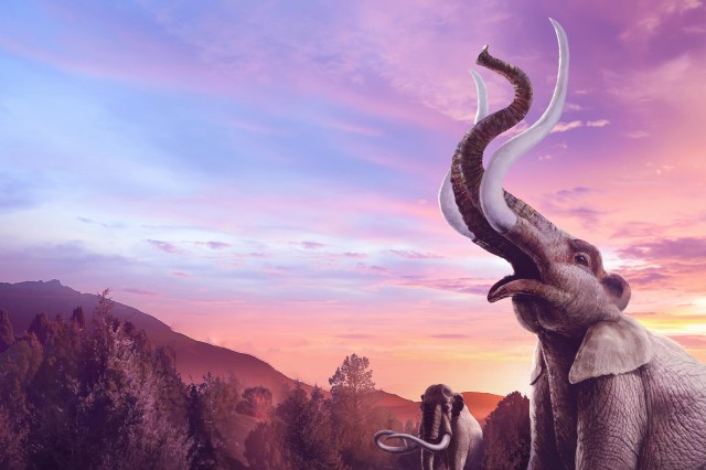 mammoths and mastodons key art type left