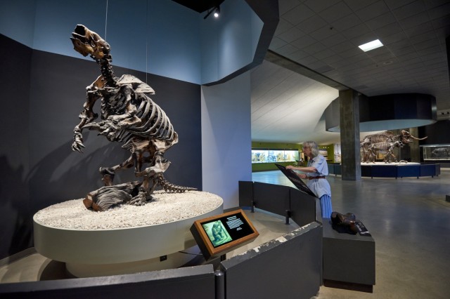 Giant Ground Sloth