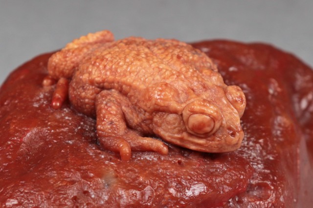 Stone Sculpture of North American Toad 