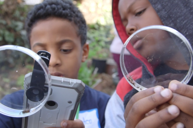 Two kids hold up petri dishes. One kid uses a cell phone to take a photograph of an insect inside of the petri dish. 