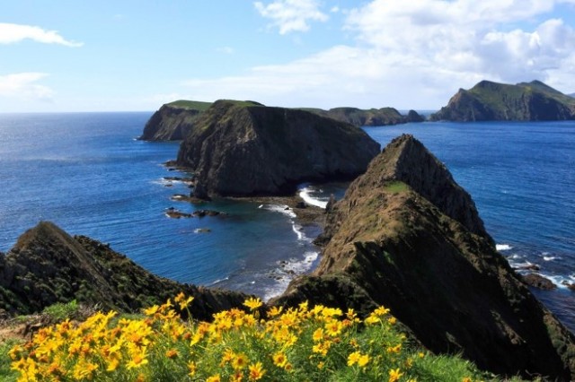Anacapa Island Channel Islands landscape