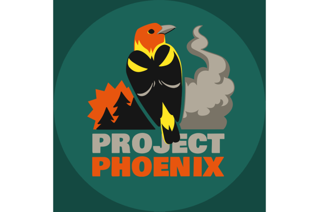 Project Phoenix Icon Green for featured image
