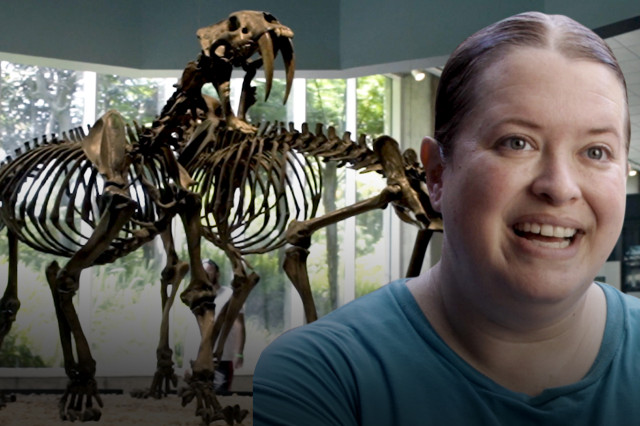 Laura Tewksbury Tar Pits video