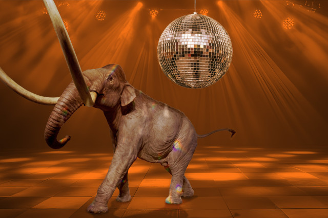 Mammoth sculpture with a disco ball above it, surrounded by orange lighting 