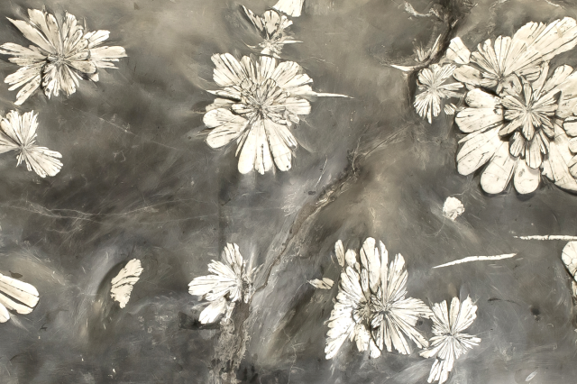 Chrysanthemum stone detail in Unearthed: Raw Beauty