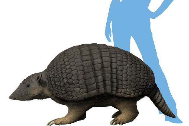 A drawing of a giant armadillo in front of a human silhouette 