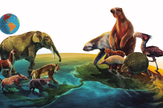 An elephant, tapir, saber-toothed cat, llama, and pecarry face off with a pair of giant sloths, a pair of armadillos, a big rodent, and a terror bird, the former on the North American side and the latter on the South America; a globe is in the top left