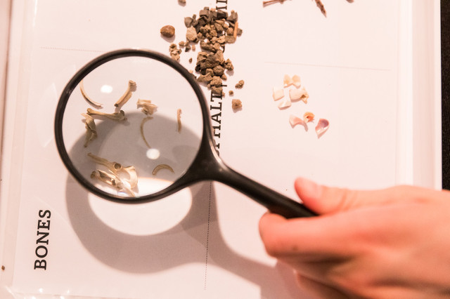 Hand holding a magnifying glass over micro fossils