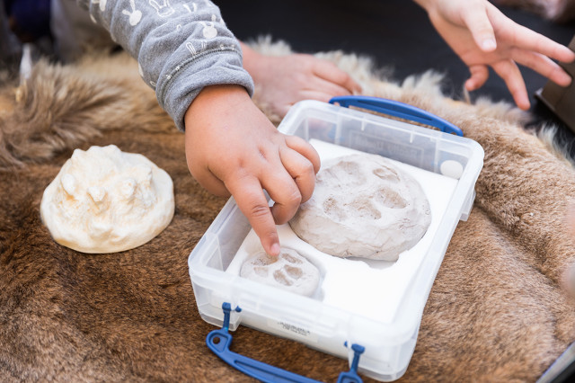 Child's hand pointing towards a mold of animal prints inside a case