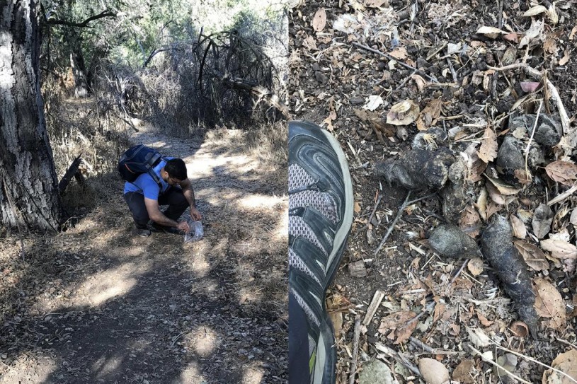 Me collecting scat (that I kept in my freezer). Photo by my extremely supportive and patient wife, Keymi Ordeñana.
