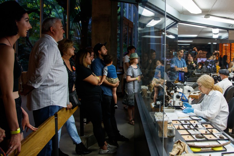 A group of visitors looking through glass at scientists working in the Fossil Lab at La Brea Tar Pits
