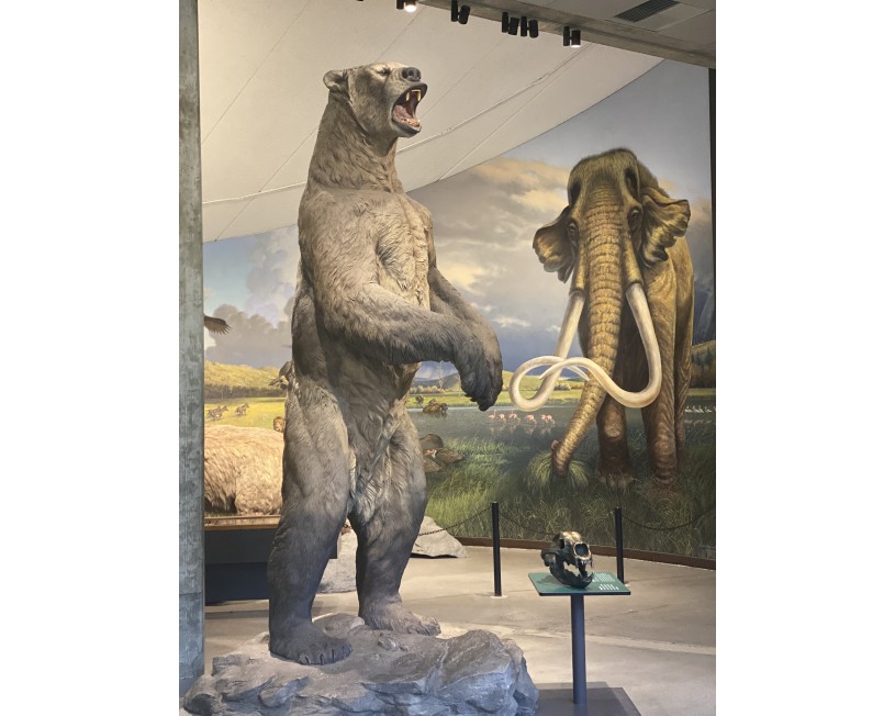 Short-faced bear statue