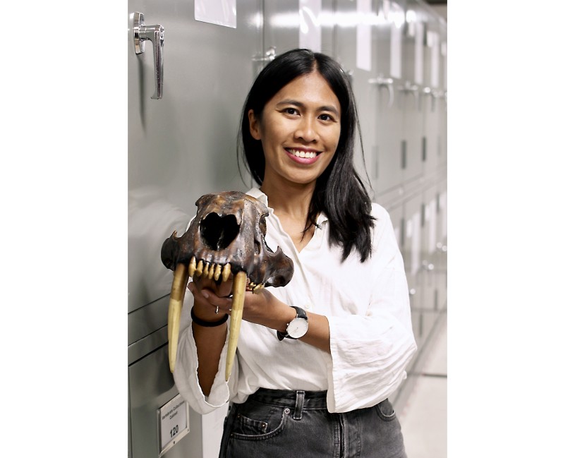 Dr. Mairin Balisi leaning against collection cabinets and holding a saber-toothed cat skull
