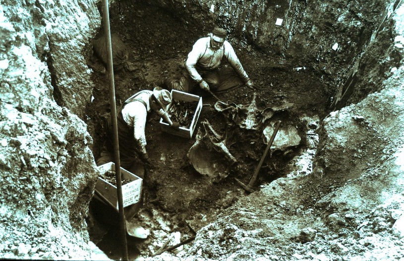 Black and white historical photo of two men in hats excavating fossils from a pit