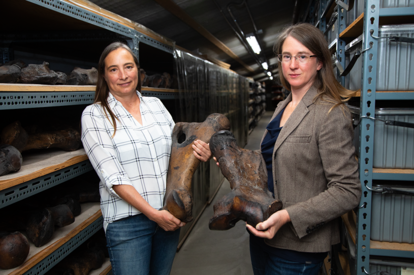 Emily Lindsey and Regan Dunn hold large fossils in the La Brea Tar Pits Collection