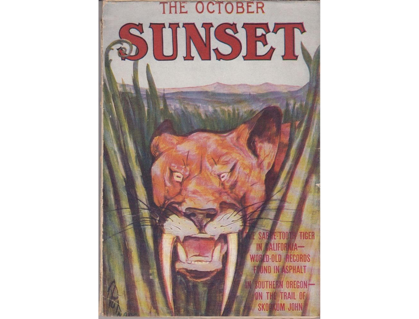 cover from October, 1908 issue of Sunset Magazine featuring saber-toothed cat 
