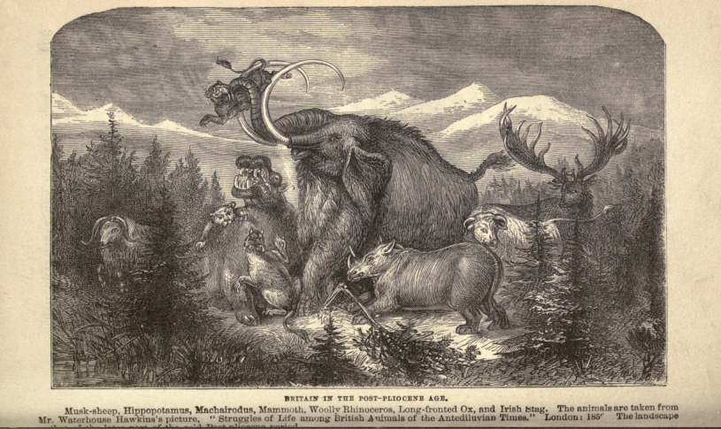 Illustration entitled 'Britain in the Post-Pliocene Age' vintage recreation of extinct megafauna